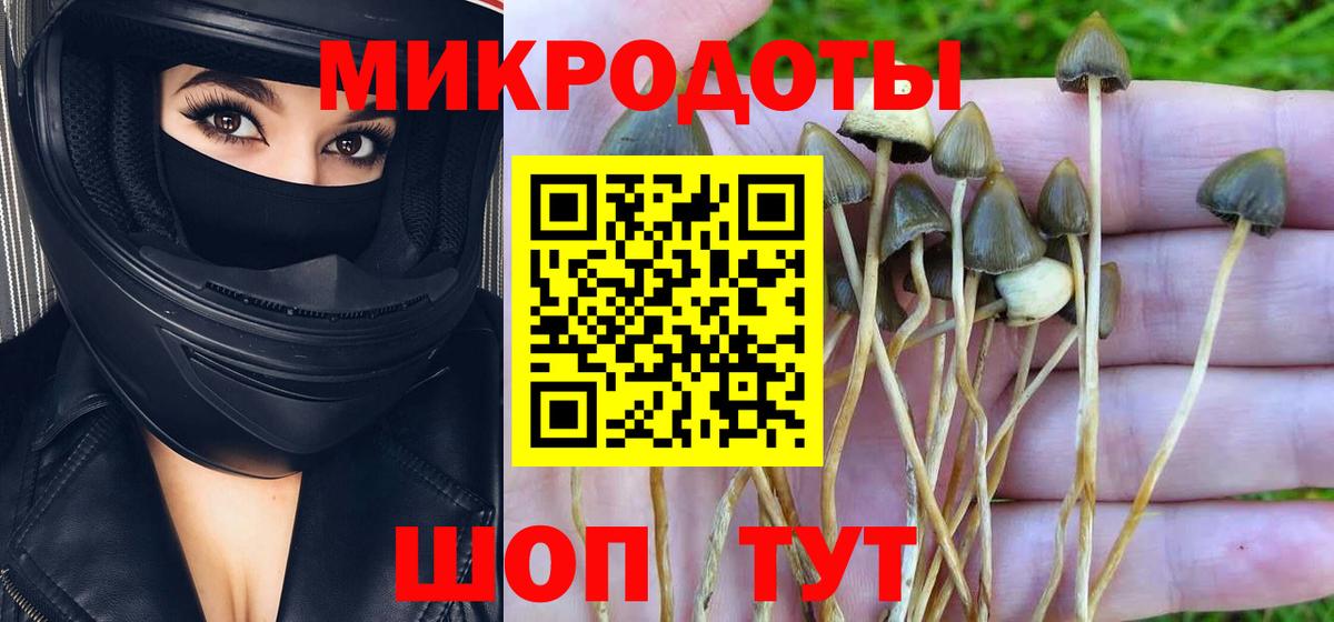 Галлюциногенные грибы прущие грибы Десногорск