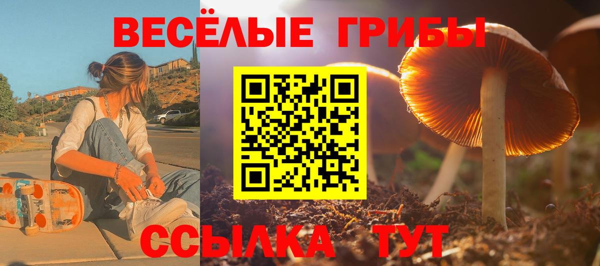 Каннабис  ГАШ  Вход с VPN  Меф МЯУ МЯУ   Десногорск  Бошки Шишки  Кокаин 